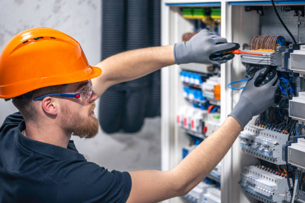 Best Electric Panel Repair  in Deerwood, TX